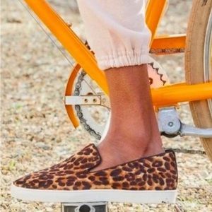 Birdies | The Swift | Leopard | Size: 8.5